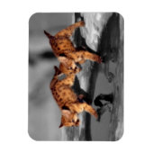 Magnet Flexible Léopards de bébé (Vertical)