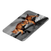 Magnet Flexible Léopards de bébé (Côté Gauche)