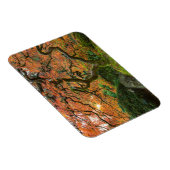 Magnet Flexible L'Érable Dans Les Jardins Japonais En Automne (Côté Droit)