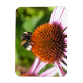 MAGNET FLEXIBLE LES ABEILLES (Vertical)