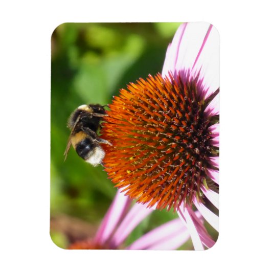 MAGNET FLEXIBLE LES ABEILLES (Vertical)