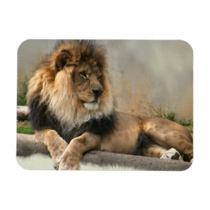 Magnet Flexible Les amoureux du lion Roi de la Jungle