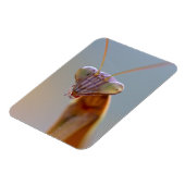 Magnet Flexible Les antids de prière (Côté Gauche)