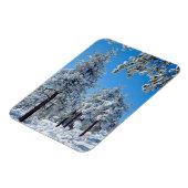 Magnet Flexible Les arbres couverts de neige dans les Laguna Mount (Côté Gauche)