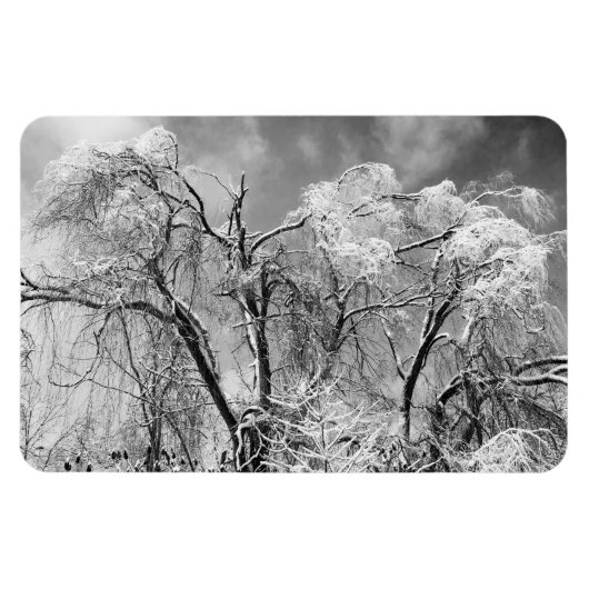 Magnet Flexible les arbres l'hiver (Horizontal)