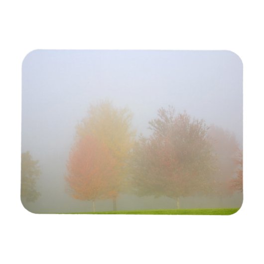 Magnet Flexible Les arbres tombants noyés dans la brume (Horizontal)