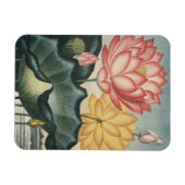 Magnet Flexible Les Beaux-Arts Lotus (Horizontal)
