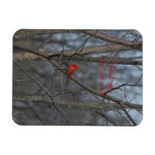 Magnet Flexible Les cardinaux magnétiques apparaissent quand les a (Horizontal)