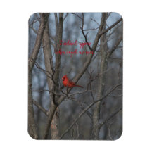 Les cardinaux magnétiques apparaissent quand les a