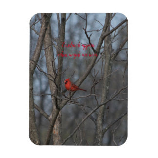 Magnet Flexible Les cardinaux magnétiques apparaissent quand les a