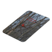 Magnet Flexible Les cardinaux magnétiques apparaissent quand les a (Côté Gauche)