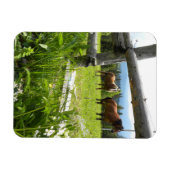 Magnet Flexible Les Carpates - Ukraine (Horizontal)