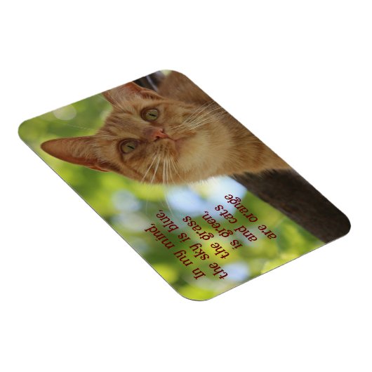 Magnet Flexible Les chats sont orange (Côté Droit)