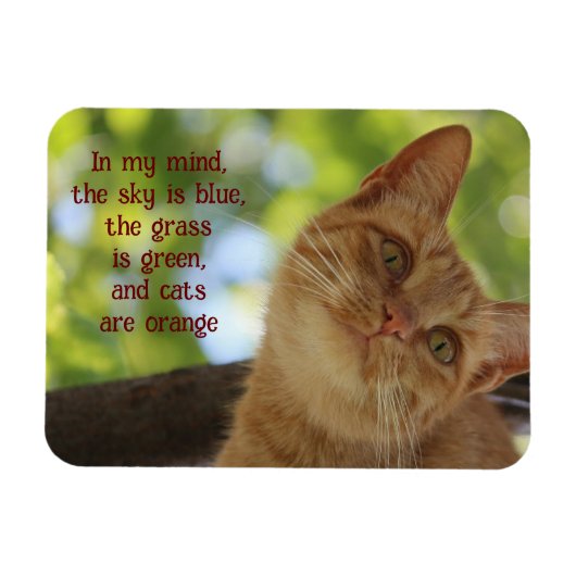 Magnet Flexible Les chats sont orange (Horizontal)