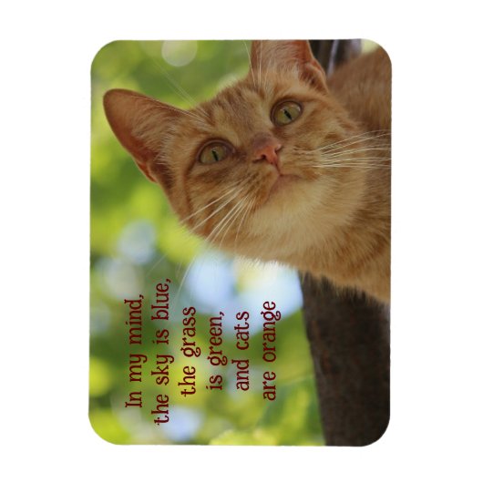 Magnet Flexible Les chats sont orange (Vertical)