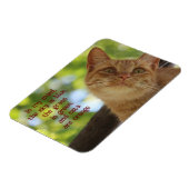 Magnet Flexible Les chats sont orange (Côté Gauche)