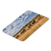 Magnet Flexible Les Chevaux Juste En Dehors Du Parc National De Gr (Côté Gauche)