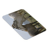 Magnet Flexible Les Chevaux Sauvages (Côté Droit)