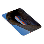 Magnet Flexible Les collines Pittoresques de l'Alabama nichées (Côté Droit)