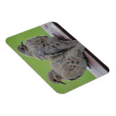 Magnet Flexible Les colombes en deuil (Côté Droit)