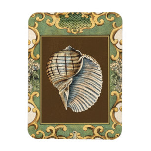 Magnet Flexible Les coquilles de la petite sirène