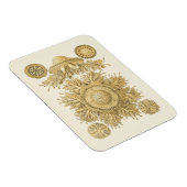 Magnet Flexible Les créatures de la mer d'or (Côté Droit)