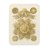 Magnet Flexible Les créatures de la mer d'or (Vertical)