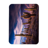 Magnet Flexible Les déserts | Cactus Paysage Argentine (Vertical)