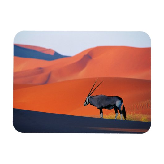 Magnet Flexible Les déserts | Namib Desert Oryx (Horizontal)
