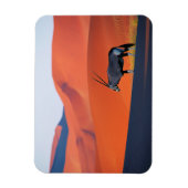 Magnet Flexible Les déserts | Namib Desert Oryx (Vertical)