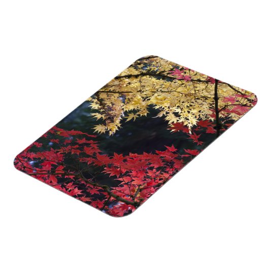 Magnet Flexible Les érables en automne (Côté Gauche)