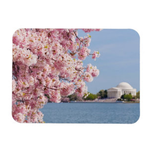 Magnet Flexible Les Etats-Unis, Washington DC, cerisier