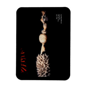 Magnet Flexible Les formes de la mer dans l'art mural tout noir