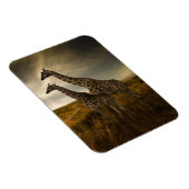 Magnet Flexible Les girafes et le paysage (Côté Droit)