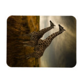 Magnet Flexible Les girafes et le paysage (Horizontal)