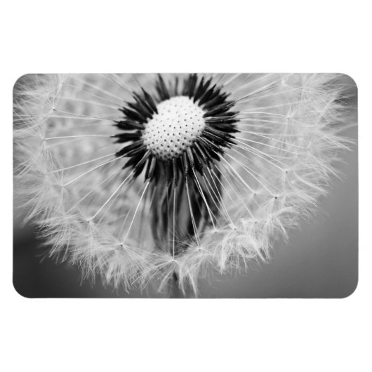 Magnet Flexible Les graines de demain (Horizontal)