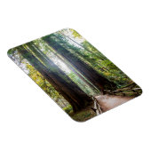 Magnet Flexible Les grands arbres (Côté Droit)