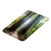 Magnet Flexible Les grands arbres (Côté Gauche)