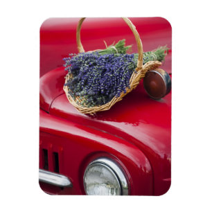 Magnet Flexible Les grappes de lavande reposent sur un vieux pick-
