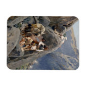 Magnet Flexible Les guerriers d'Apache : une embuscade sur la cava (Horizontal)