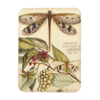 Les libellules aux Feuilles et aux fruits