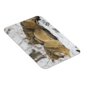 Magnet Flexible Les loups dans le bois de Bawarian (Côté Droit)