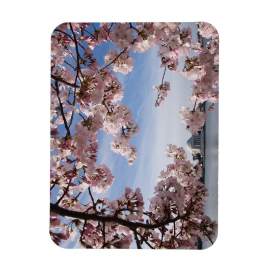 Magnet Flexible Les monuments | Jefferson Memorial Cherry Blossoms (Vertical)