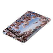 Magnet Flexible Les monuments | Jefferson Memorial Cherry Blossoms (Côté Gauche)