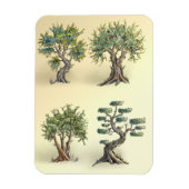 Magnet Flexible Les oliviers en Provence taillés. (Vertical)