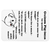 Magnet Flexible Les paroles de guinéens (Horizontal)