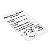 Magnet Flexible Les paroles de guinéens (Côté Droit)