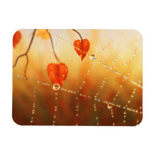 Magnet Flexible Les pierres précieuses d'un aimant flexible matin 