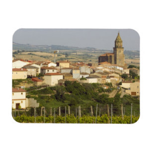 Magnet Flexible Les rangées de vignes au premier plan encadrent l