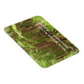 Magnet Flexible Les séquoias au monument national de Muir Woods (Côté Droit)